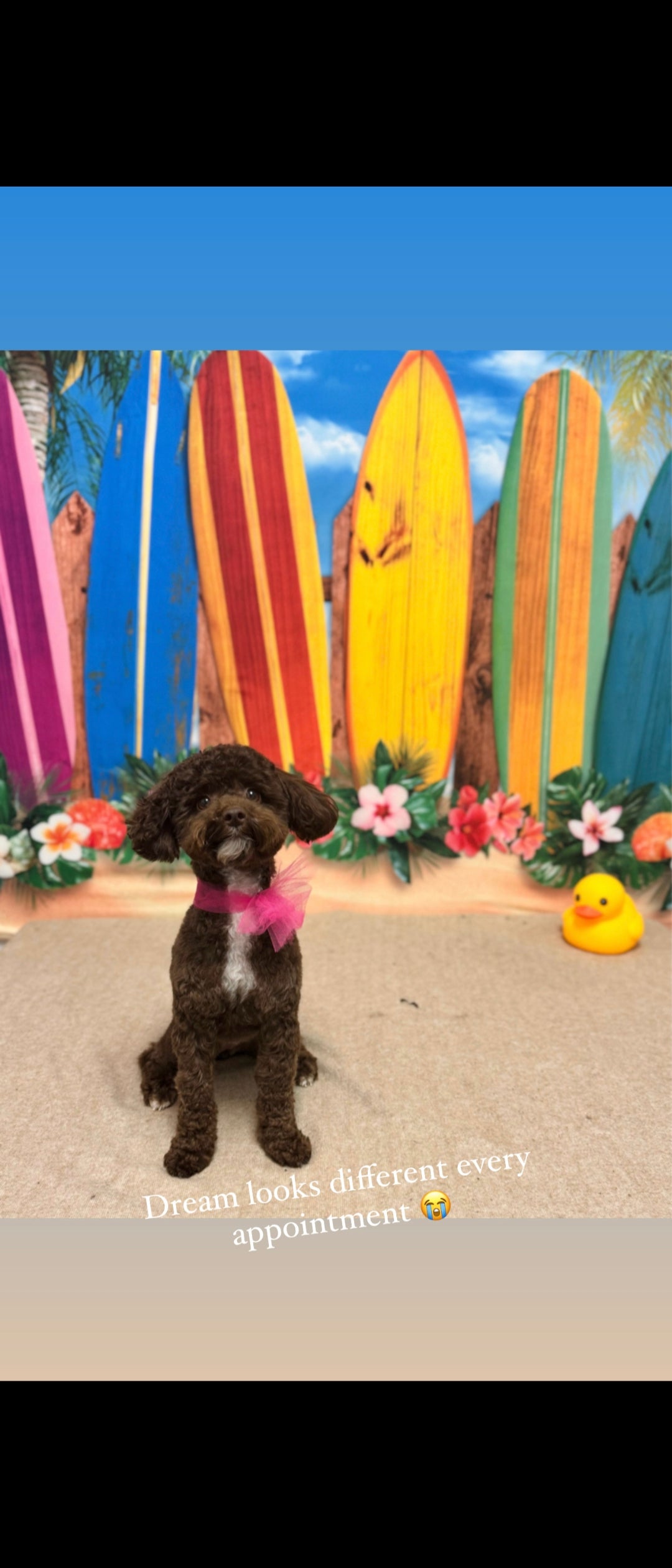 Artwork for sale (AS IS)